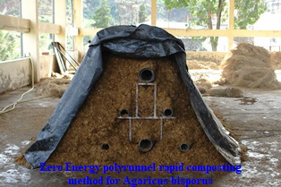 Zero Energy polyrunnel rapid composting method